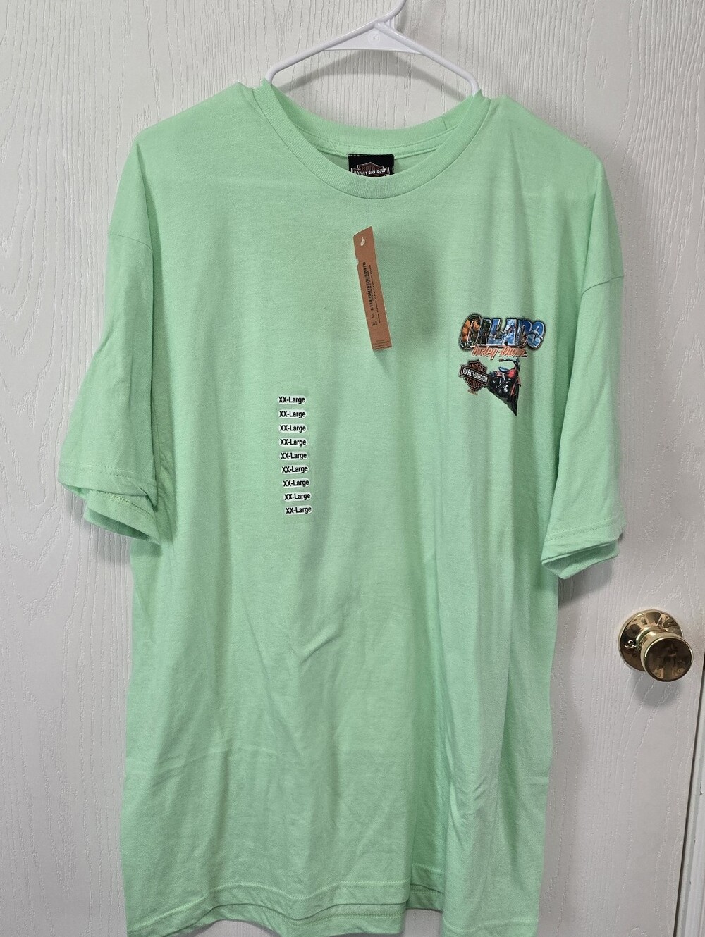 Harley-Davidson Mint Green Short Sleeve Tee with Small Chest Graphic